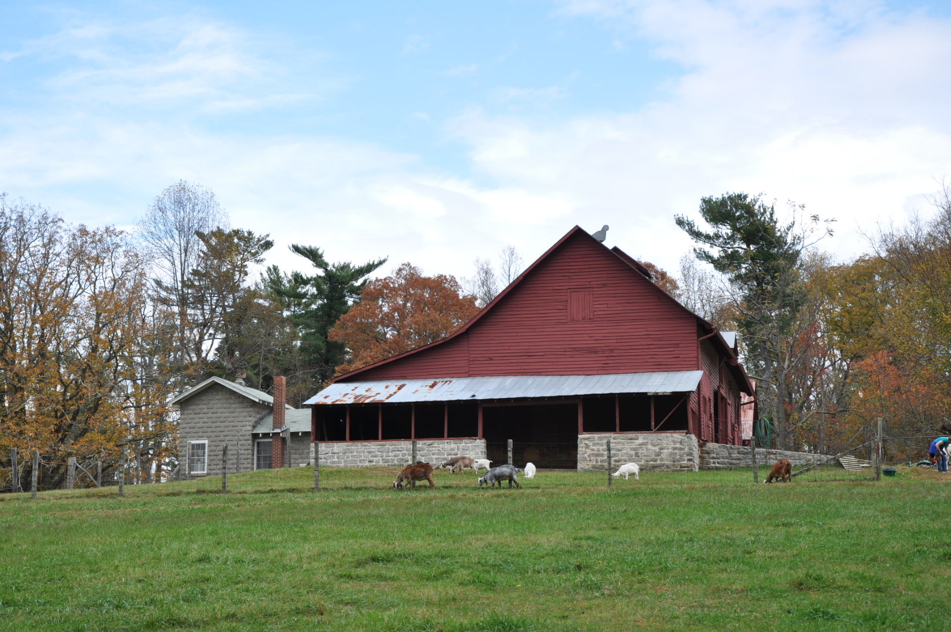 CARL SANDBURG HOME IN FLAT ROCK TO REOPEN GOAT BARN ON JANUARY 22