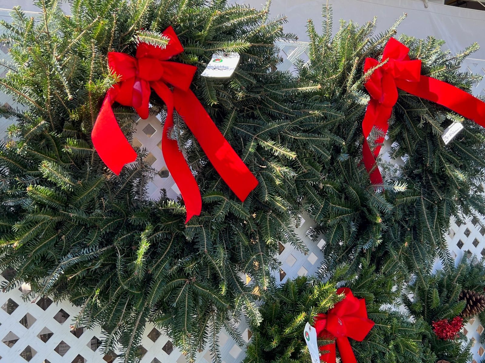 HERE'S WHAT TO DO WITH YOUR CHRISTMAS TREES AFTER HOLIDAYS IN HENDERSON COUNTY ASHEVILLE